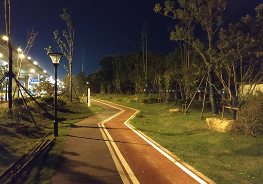 武漢東風(fēng)大道標(biāo)準(zhǔn)段